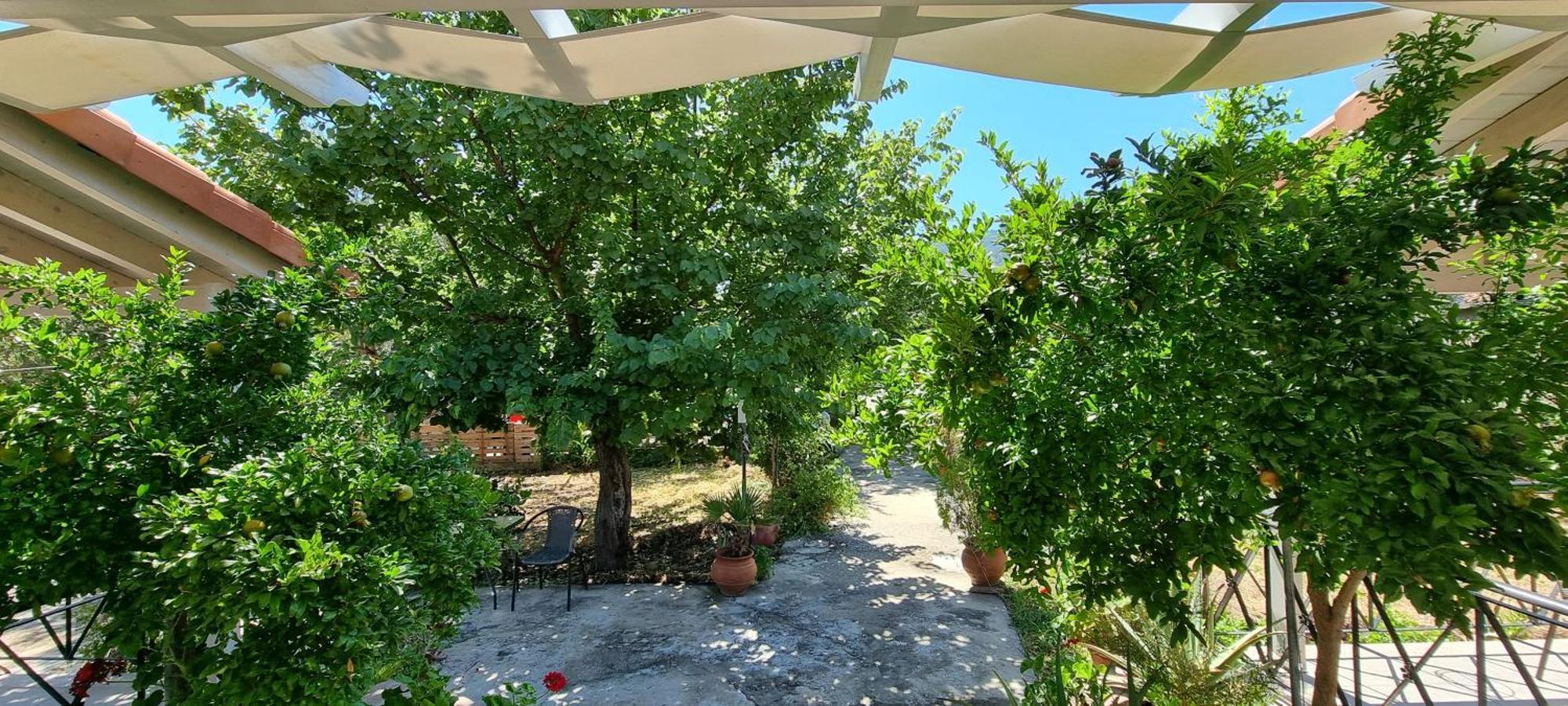 Angeli Holiday home *